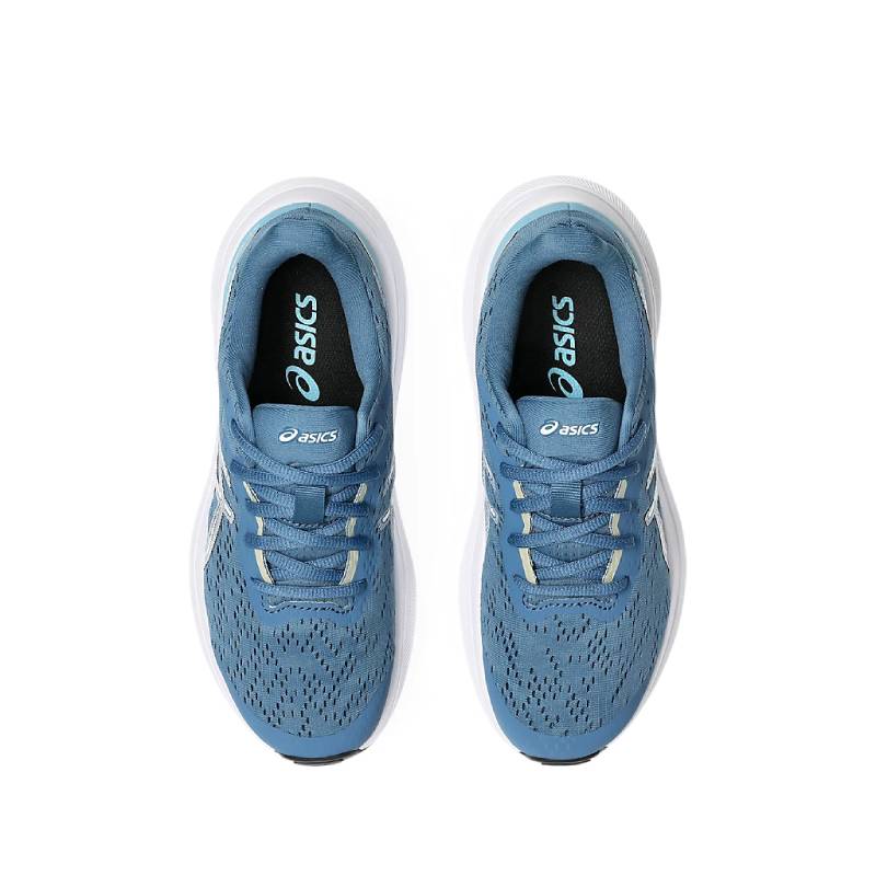 Asics Gt-1000 13 GS Winter sea