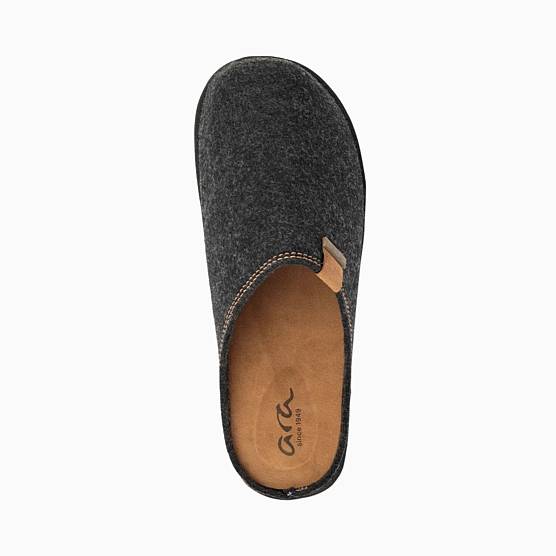 Ara Elvio Grey