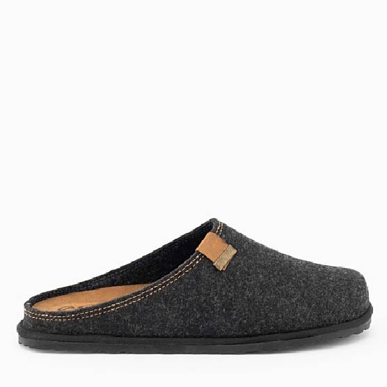 Ara Elvio Grey