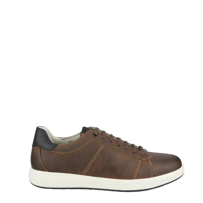 HEIST SNEAKER COFFEE